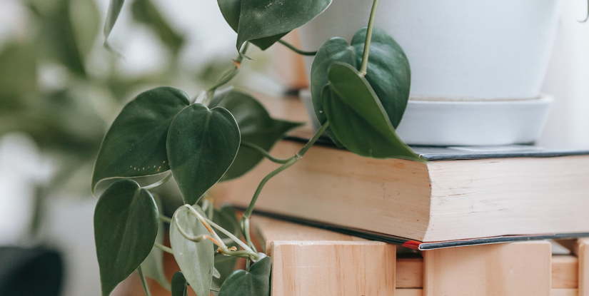 HabitFit